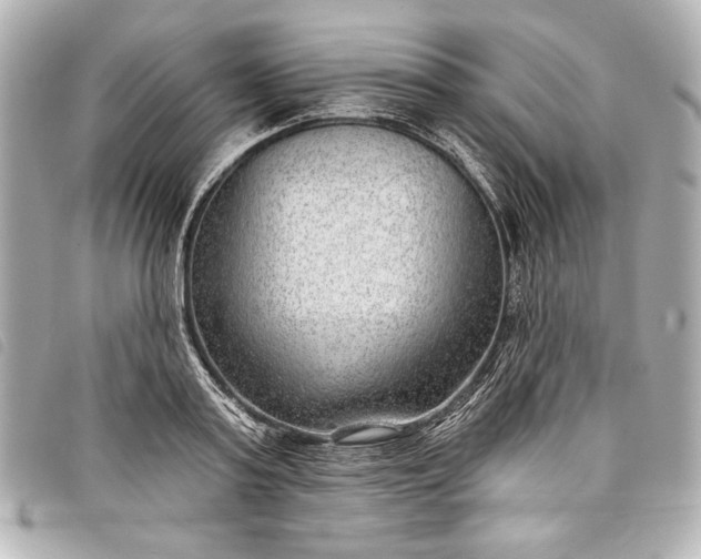 X0000098090795200804181234