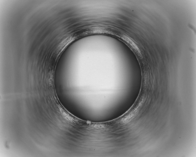 X0000098090801200804181234