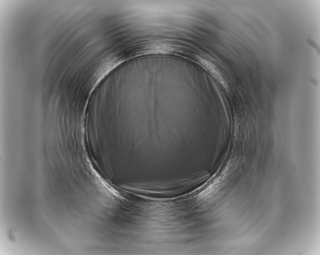 X0000098090802200804181234