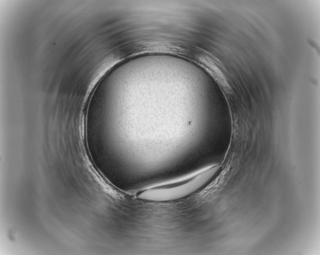 X0000098090804200804181234