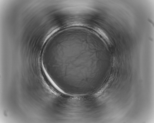 X0000098090806200804181234