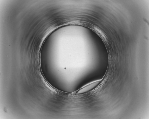 X0000098090808200804181234