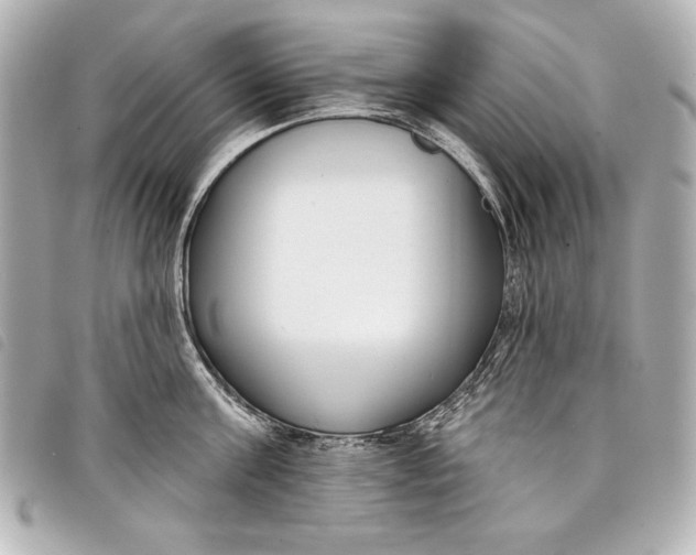 X0000098090811200804181234
