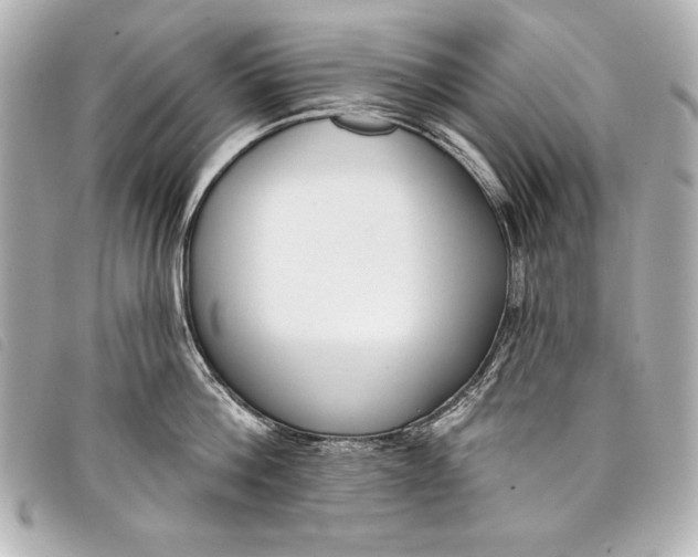X0000098090812200804181234