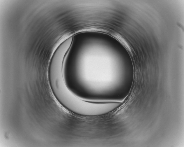 X0000098090813200804181234