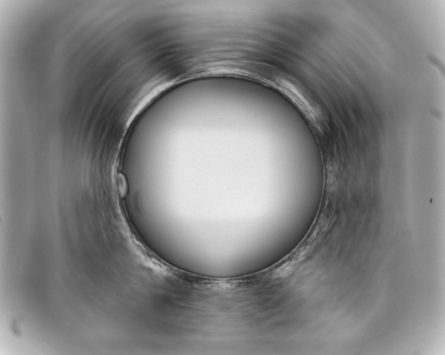 X0000098090814200804181234