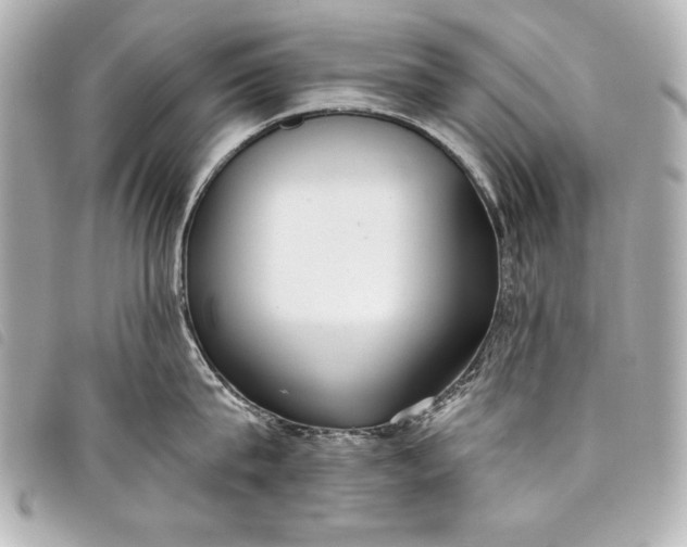 X0000098090815200804181234