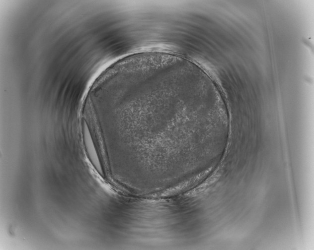 X0000098090816200804181234