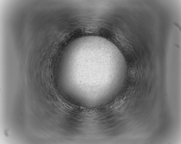 X0000098090817200804181233