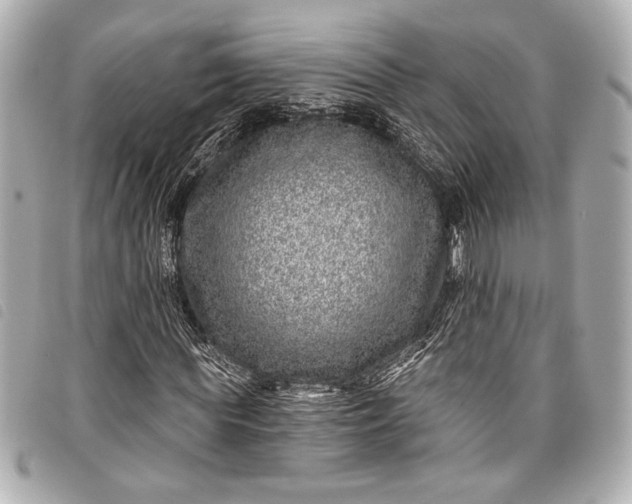 X0000098090819200804181233