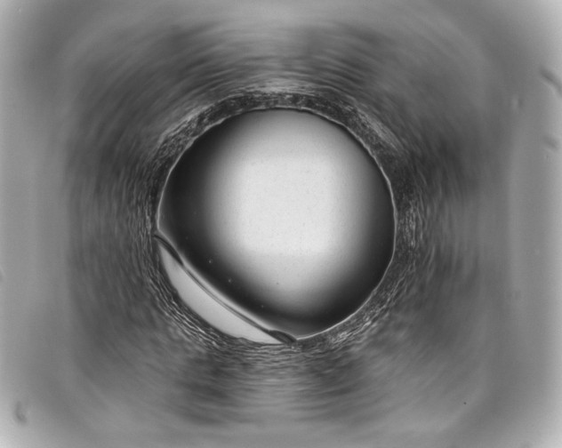 X0000098090821200804181233