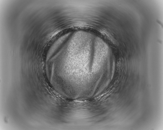 X0000098090822200804181233