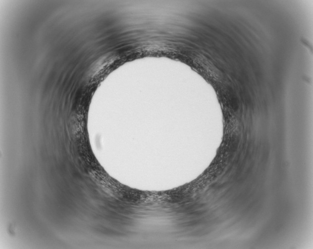 X0000098090824200804181233