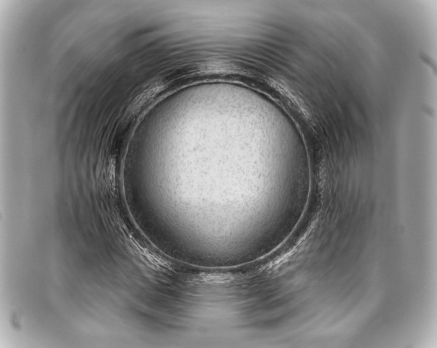 X0000098090825200804181233