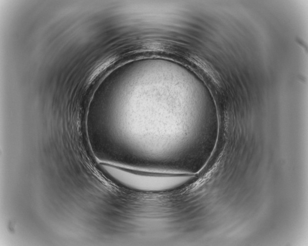X0000098090826200804181233