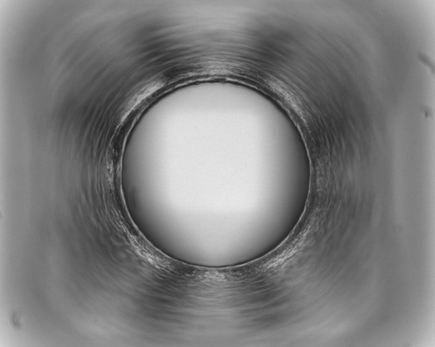 X0000098090827200804181233