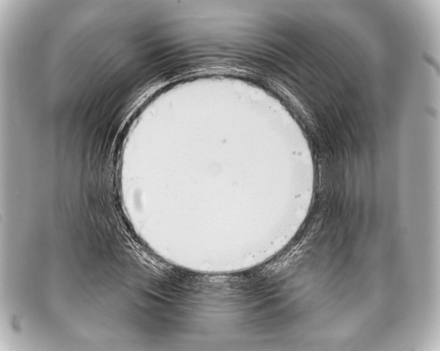 X0000098090828200804181233
