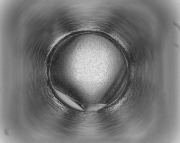 X0000098090830200804181233
