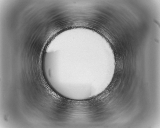 X0000098090832200804181233