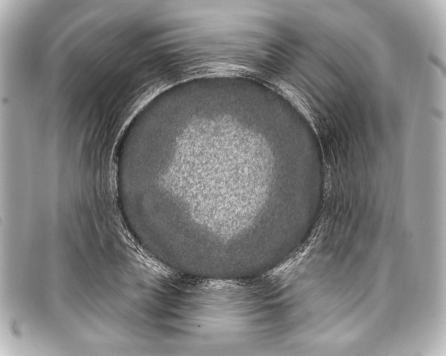 X0000098090835200804181233