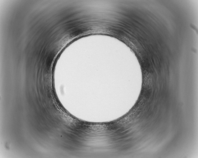 X0000098090836200804181234