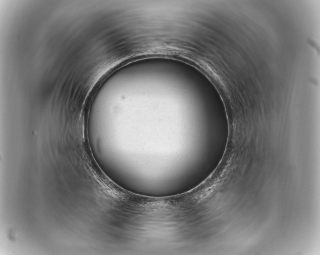 X0000098090838200804181234