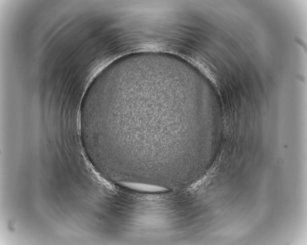 X0000098090839200804181234