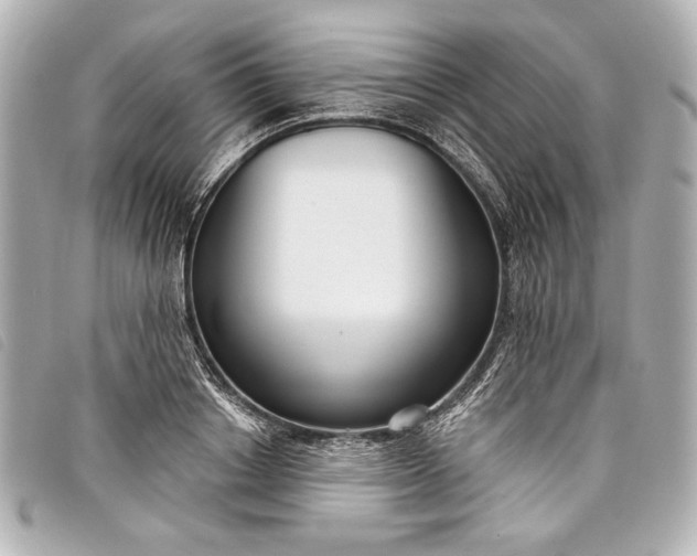 X0000098090842200804181234