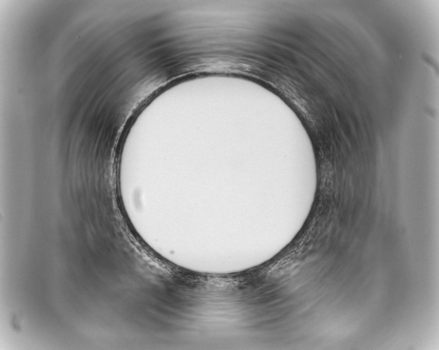 X0000098090848200804181234