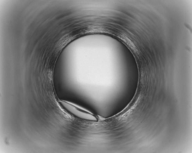 X0000098090849200804181234