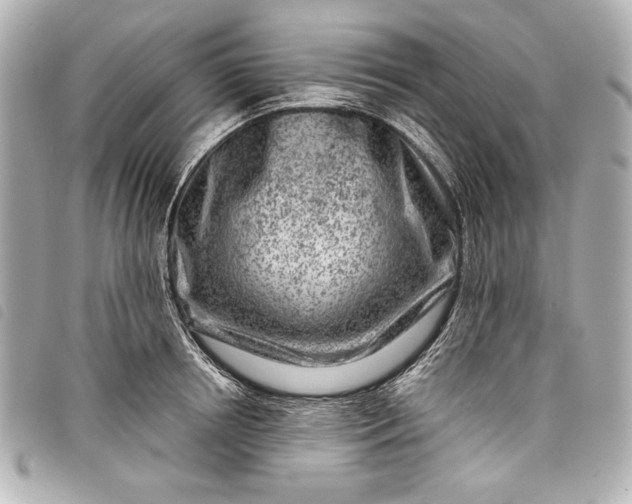 X0000098090850200804181234