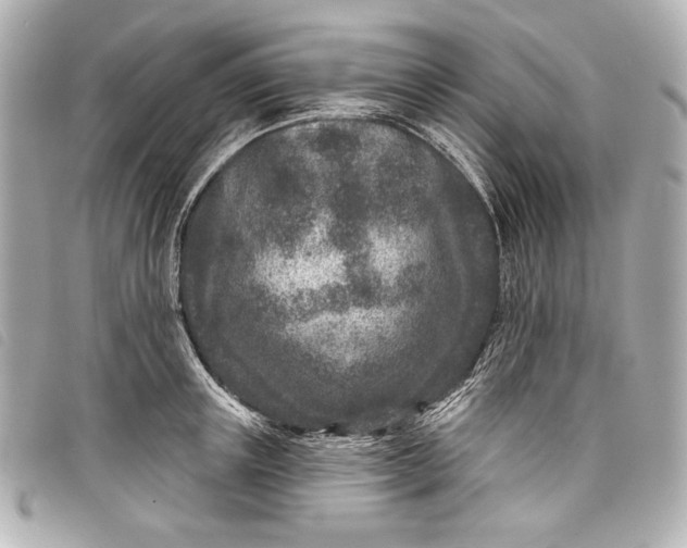 X0000098090851200804181234