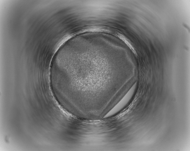 X0000098090853200804181234