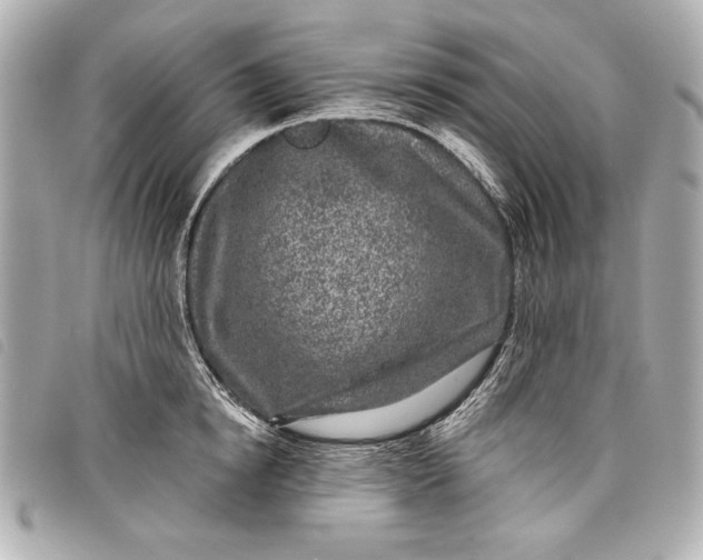 X0000098090854200804181234
