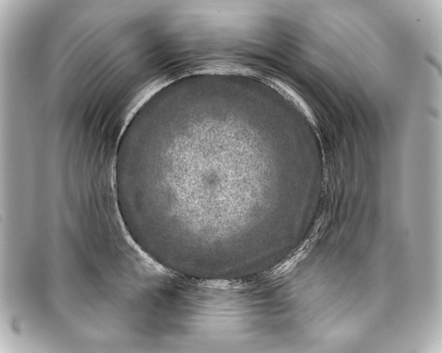 X0000098090855200804181234