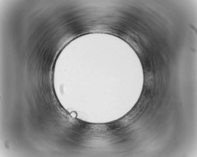 X0000098090856200804181234