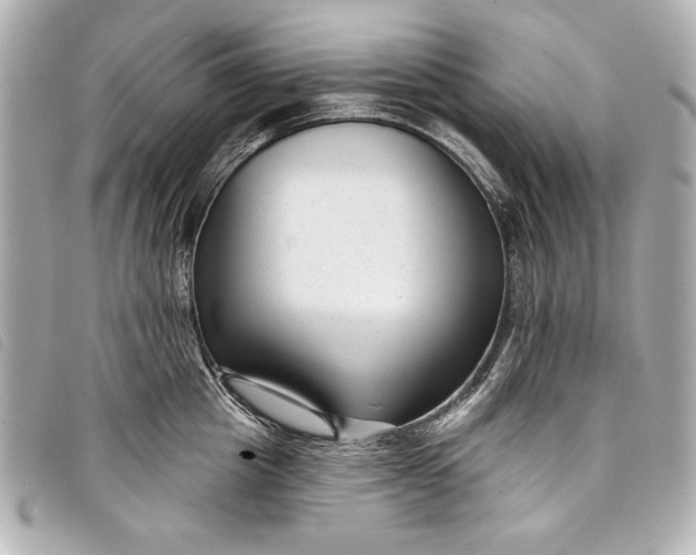X0000098090857200804181234