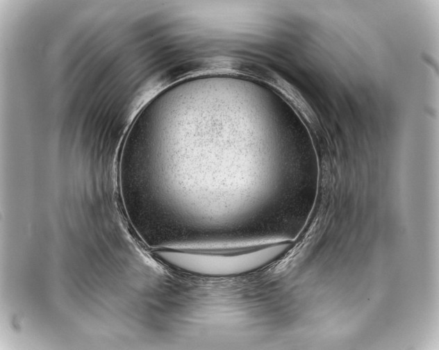 X0000098090858200804181234