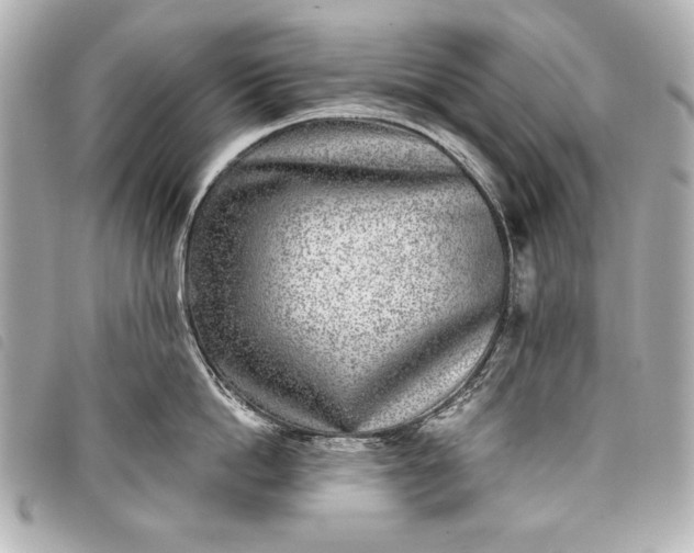 X0000098090862200804181234