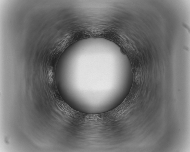 X0000098090866200804181233