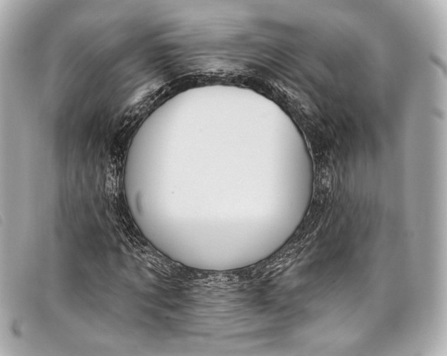 X0000098090869200804181233