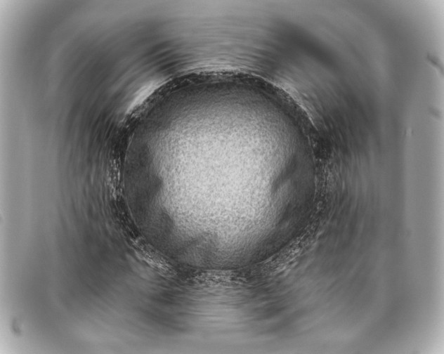 X0000098090871200804181233