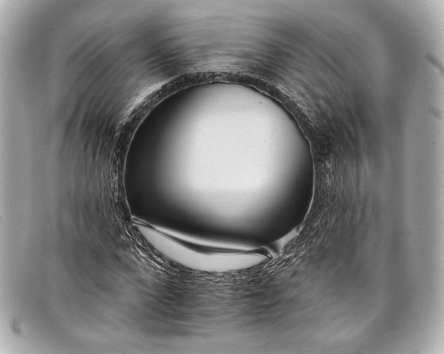 X0000098090872200804181233