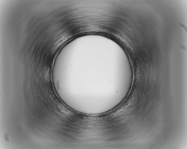 X0000098090873200804181233
