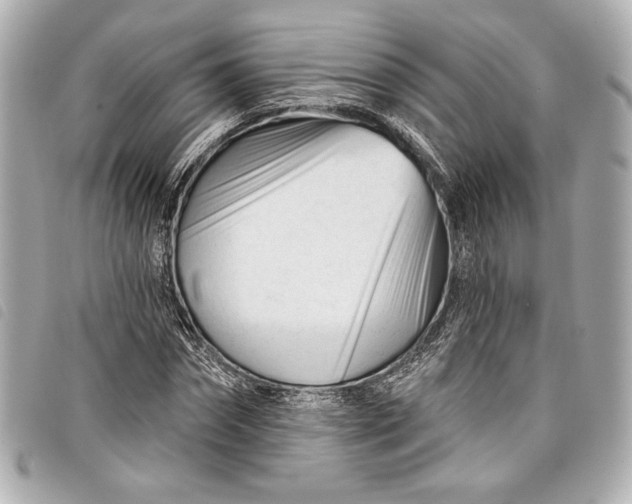 X0000098090874200804181233