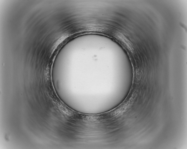 X0000098090875200804181233