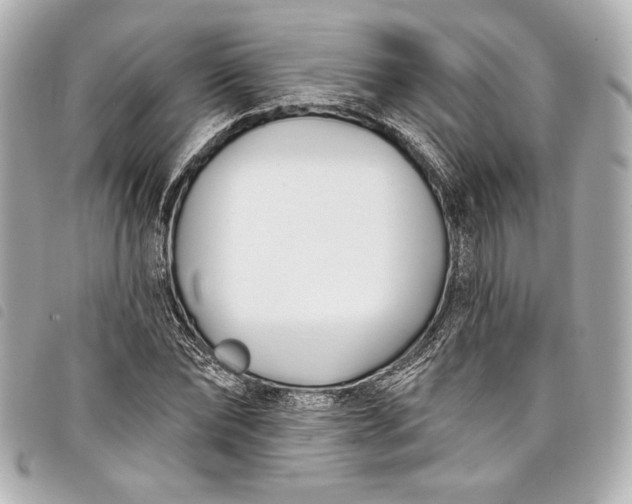 X0000098090878200804181233