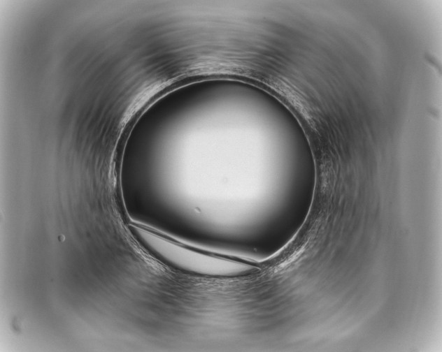 X0000098090885200804181233