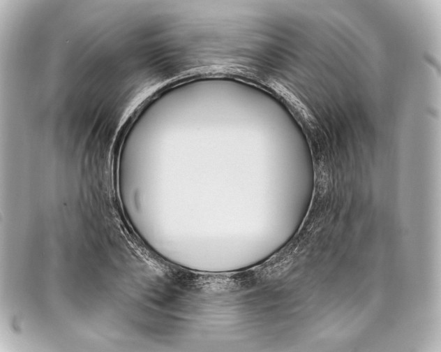 X0000098090886200804181233