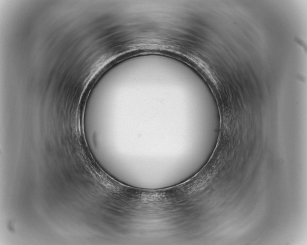 X0000098090887200804181233